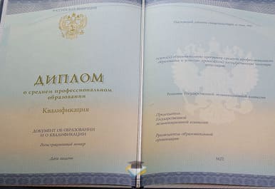 Диплом Профессионального лицея № 38 2014-2020 годов